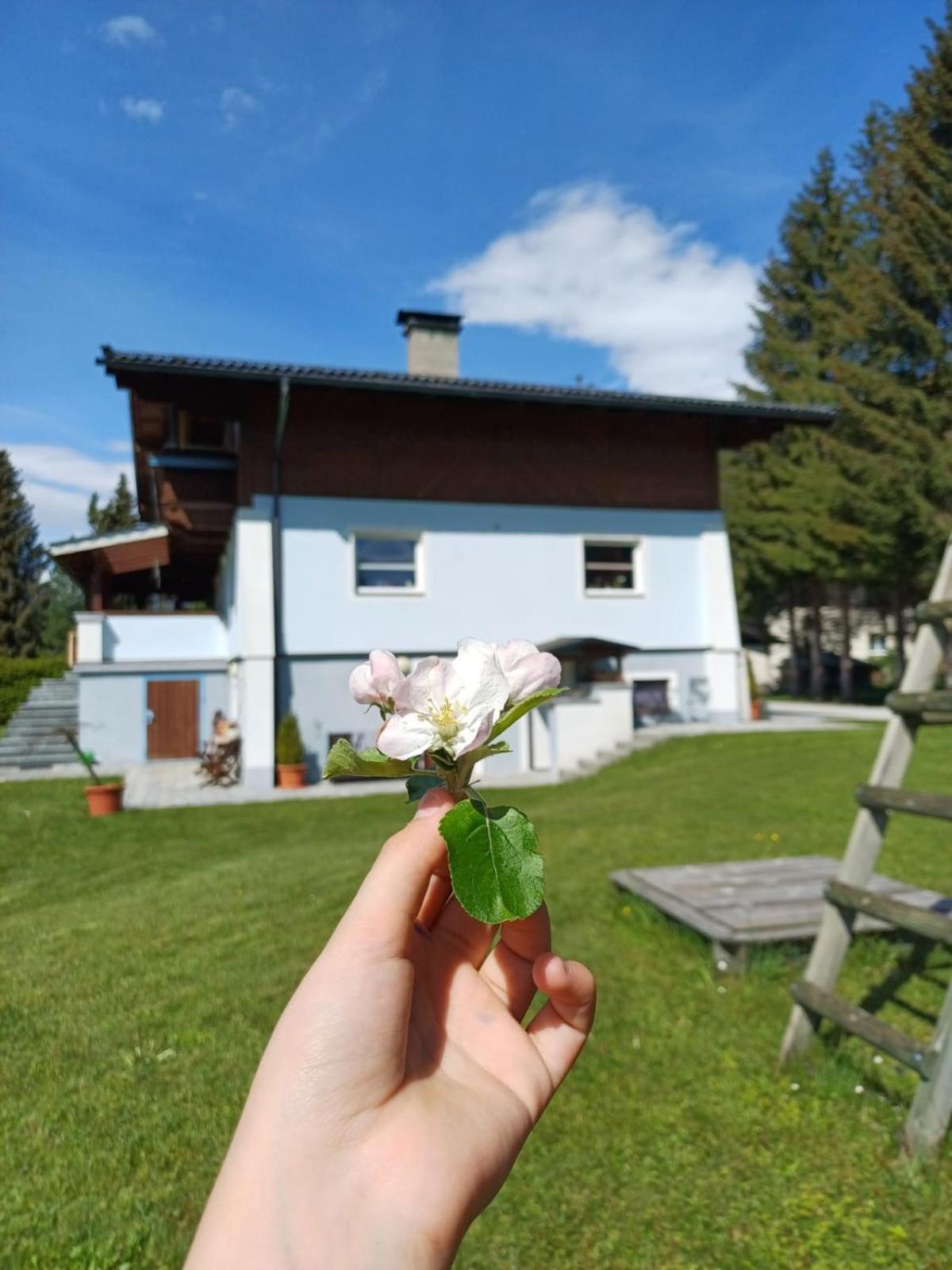 Appartements am See Neukirchen am Großvenediger Buitenkant foto